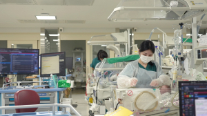 계명대 동산병원서 잇달아 ‘세쌍둥이’ 탄생